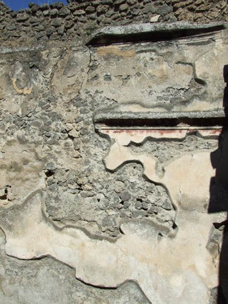 VIII.5.28 Pompeii. March 2009. Room 7, Oecus. North wall.