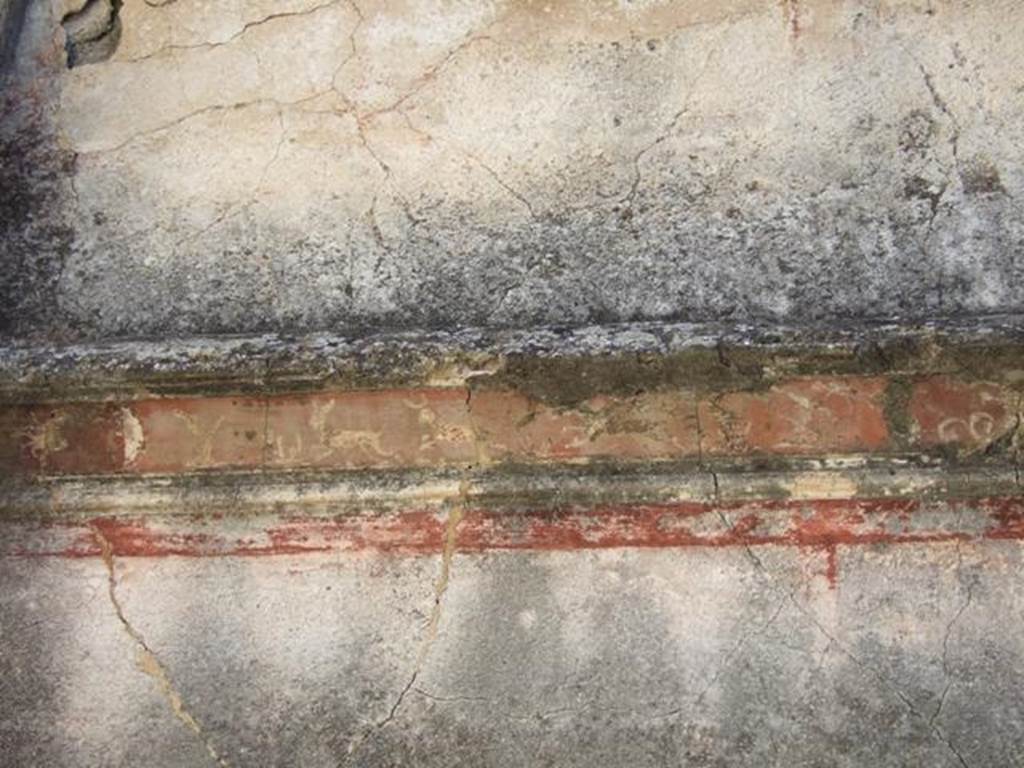 VIII.5.28 Pompeii. March 2009. Room 7, Oecus. Lower East wall.