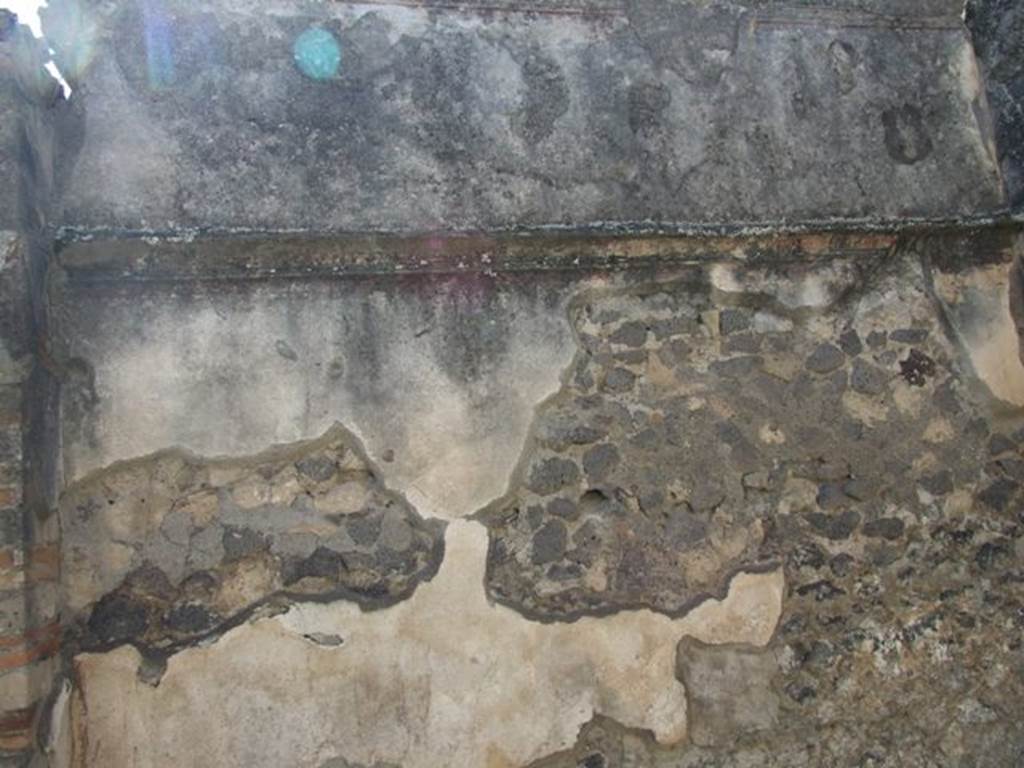 VIII.5.28 Pompeii. March 2009. Room 7, Oecus. South wall.