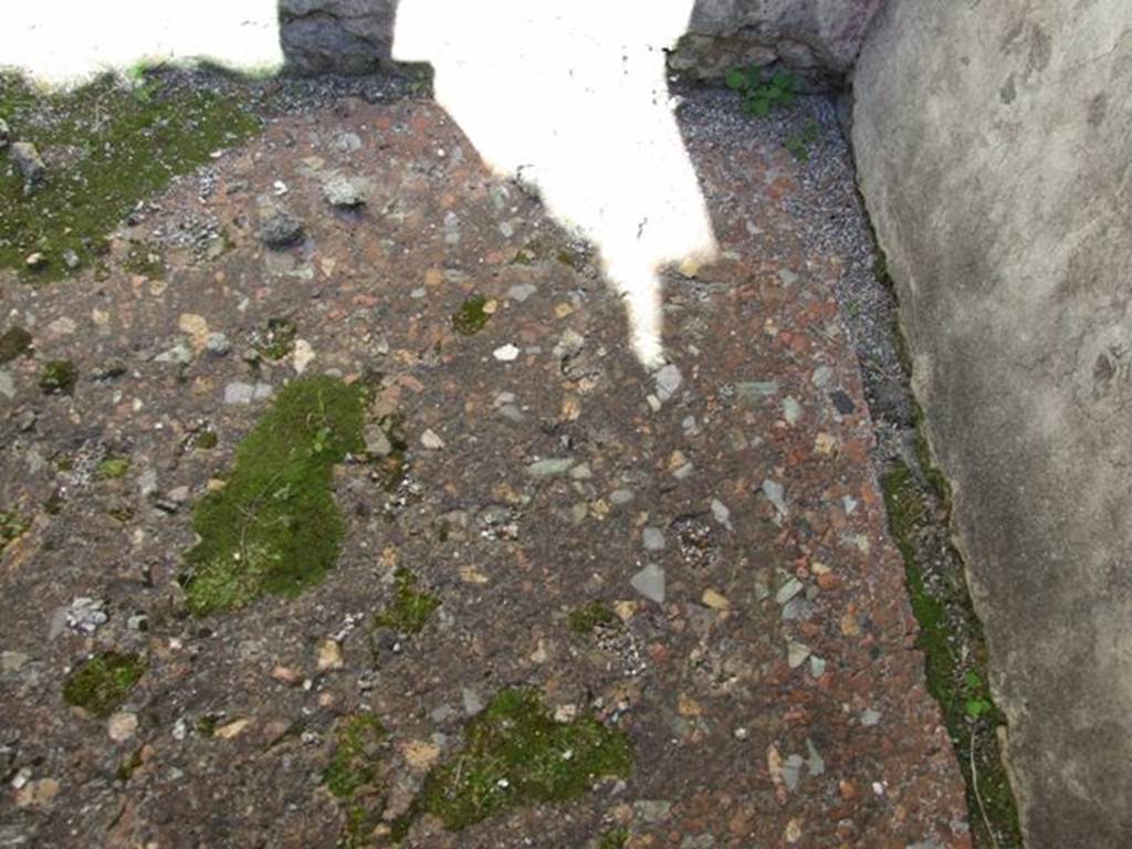 VIII.5.28 Pompeii. March 2009. Room 7, Oecus. Floor.