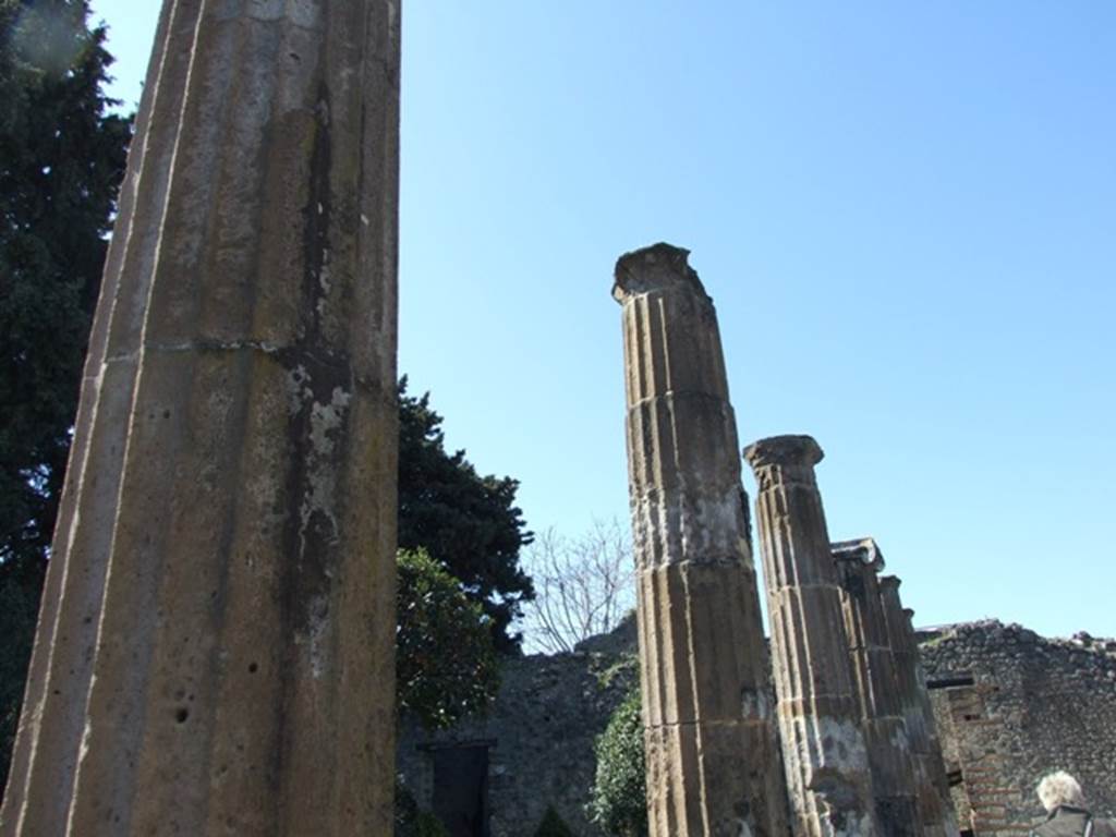 VIII.5.28 Pompeii. March 2009. Columns in North Portico.