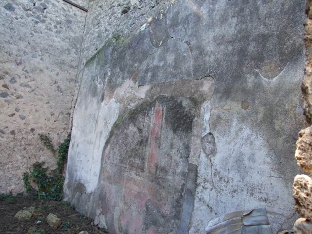 VIII.5.28 Pompeii. March 2009. Room 12, Oecus. West wall.