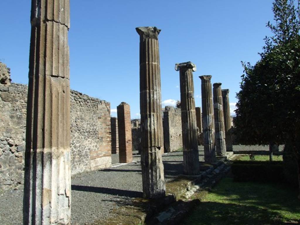 VIII.5.28 Pompeii. March 2009. Room 10, Peristyle garden area, looking east along North Portico.