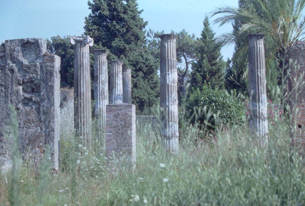 VIII.5.28 Pompeii. 7th August 1976. Looking south from atrium towards peristyle.
Photo courtesy of Rick Bauer, from Dr George Fay’s slides collection.