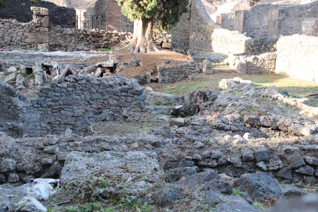 VIII.5.36 Pompeii. October 2023. Looking north from Vicolo delle Pareti Rosse.
The doorway into Room II from the vestibule, can be seen on the upper right side. Photo courtesy of Klaus Heese.
