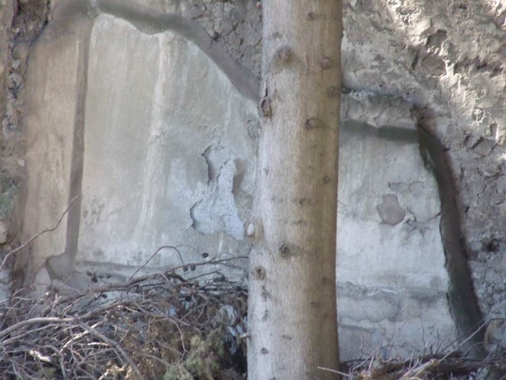 VIII.5.36 Pompeii. March 2009. Painted plaster in north west corner. Taken from VIII.5.28.