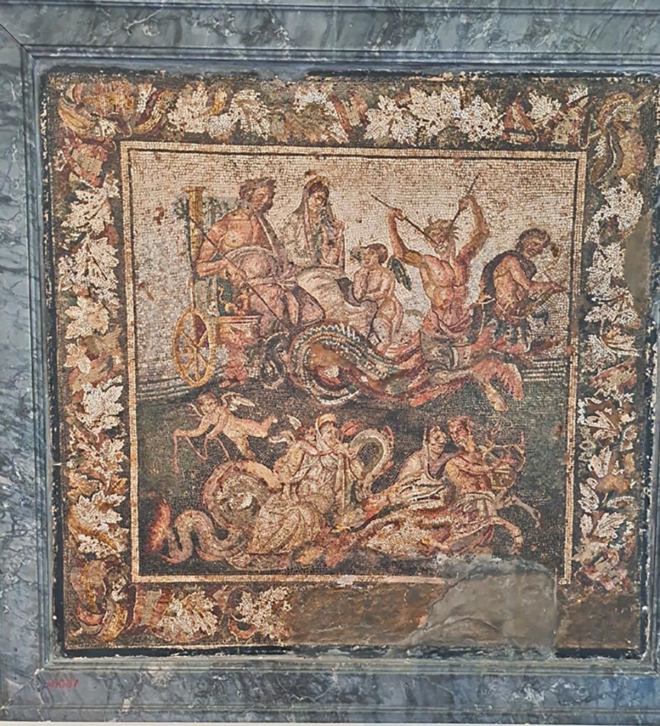 IX.2.27 Pompeii. Mosaic of Neptune and Amphitrite in a chariot, this was found in a triclinium on east side of peristyle.
Now in Naples Archaeological Museum, inventory number 10007.
According to information card –
Poseidon and Amphitrite on wedding chariots.
Mosaic emblema in opus vermiculatum made from polychrome tesserae.
The scene is a depiction of the wedding of Poseidon/Neptune and Amphitrite.
In the upper register, the carriage with the bride and bridegroom is pulled by a Triton playing a double flute;
in the lower register, the carriage of the bride dressed in white is pulled by a Triton playing a lyre, while cupids flutter around.
The picture is framed by a vine shoot adorned with ribbons. (First half of the Ist century BC.)
(Poseidone e Anfitrite su carri nuziali.
Emblema pavimentale in opus vermiculatum di tessere policrome.
La scena raffigura le nozze di Nettuno e Anfitrite.
Nel registro superiore, il cocchio con gli sposi è trainato da un Tritone che suona il doppio flauto;
in quello inferiore, il carro della sposa, in abito bianco, è tirato da un Tritone che suona la cetra, mentre attorno svolazzano Amorini.
Incornicia il quadro un tralcio di vite avvolto da nastri. Prima metà del I secolo a.C.)
Photo courtesy of Giuseppe Ciaramella. September 2024.