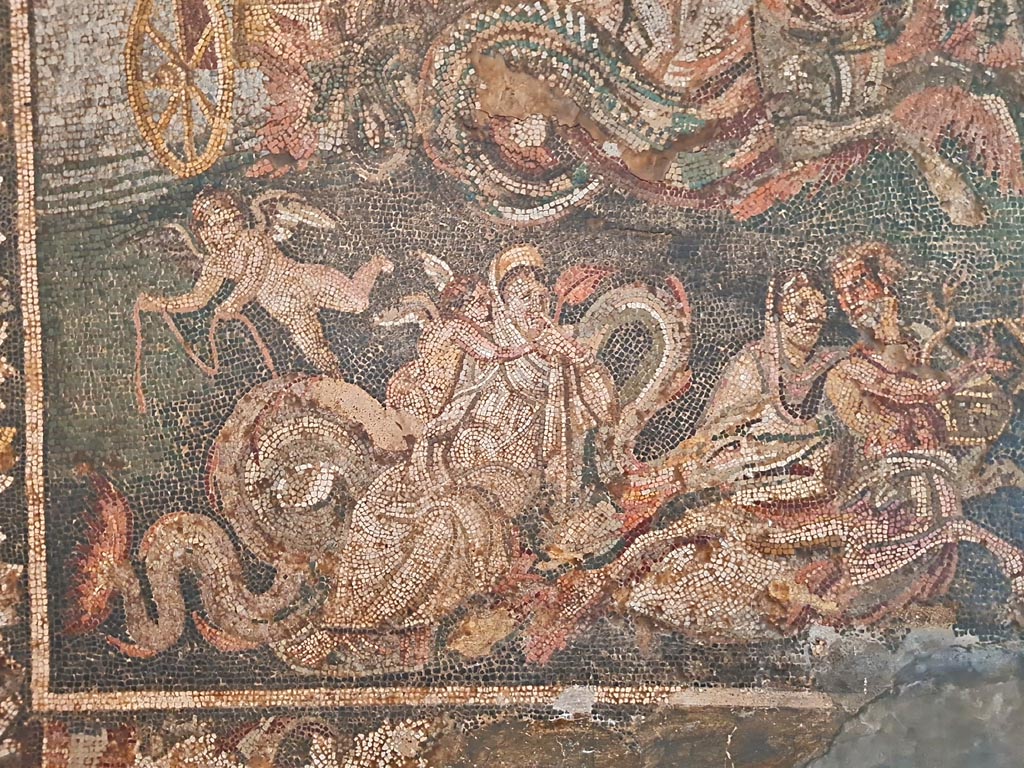 IX.2.27 Pompeii. Detail from lower register of mosaic of Neptune and Amphitrite, this was found in a triclinium on east side of peristyle.
Now in Naples Archaeological Museum, inventory number 10007.
Photo courtesy of Giuseppe Ciaramella. September 2024.