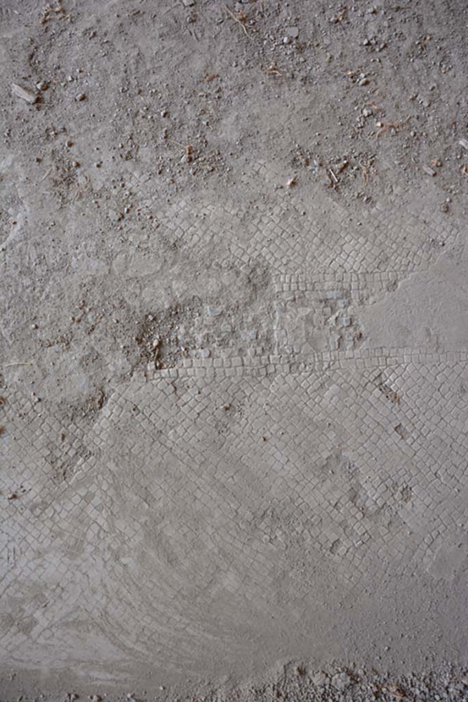 IX.2.27 Pompeii. July 2017. Detail of remaining mosaic in floor of triclinium on east side.
Foto Annette Haug, ERC Grant 681269 DÉCOR.