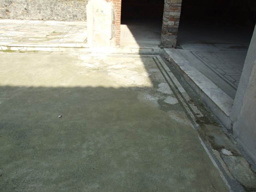 IX.3.5 Pompeii. March 2009. Atrium floor in south east corner.
