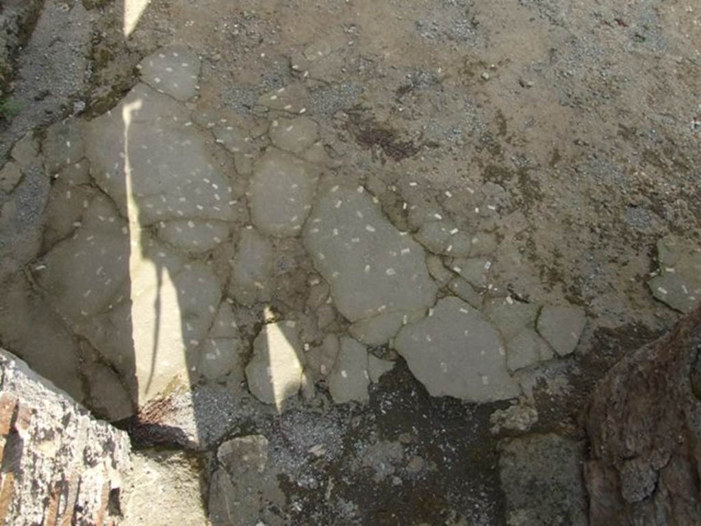 IX.3.5 Pompeii. March 2009. Room 20. Floor.