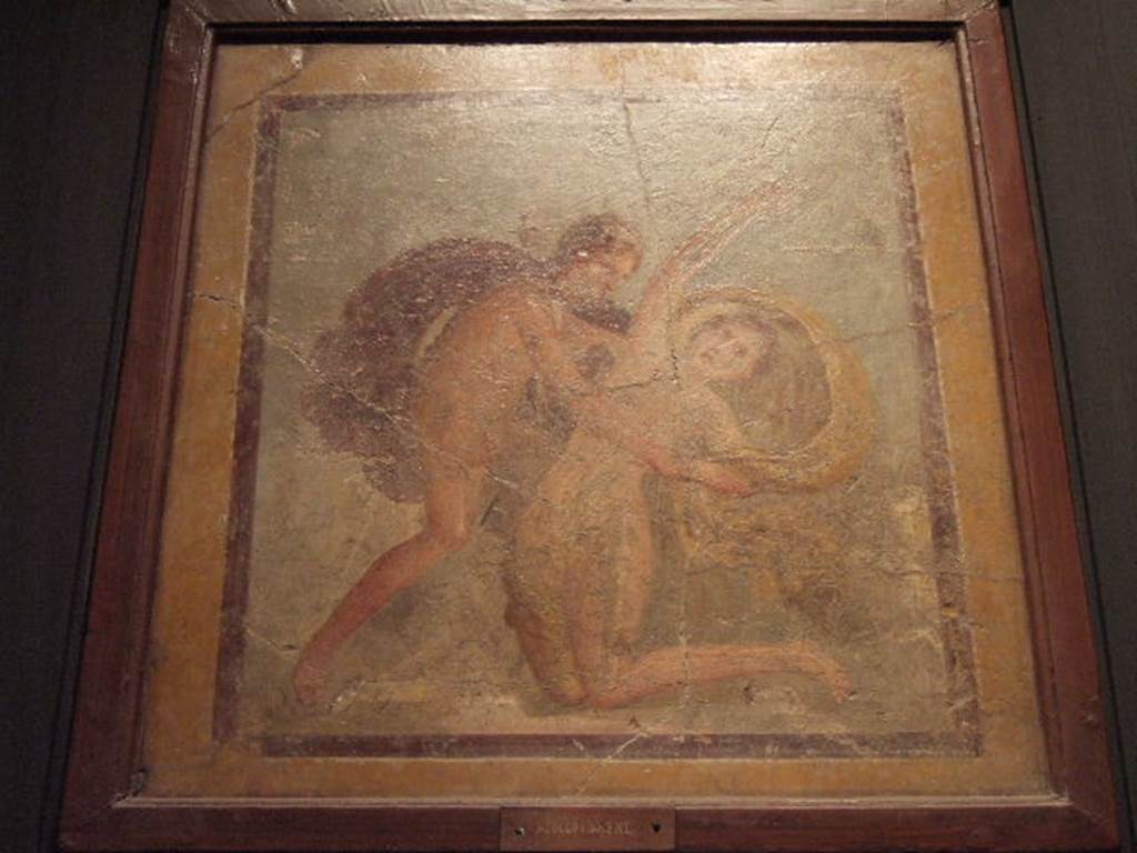 IX.3.5 Pompeii. Wall painting of Apollo and Daphne, found in triclinium.
Now in Naples Archaeological Museum. Inventory number 9536.