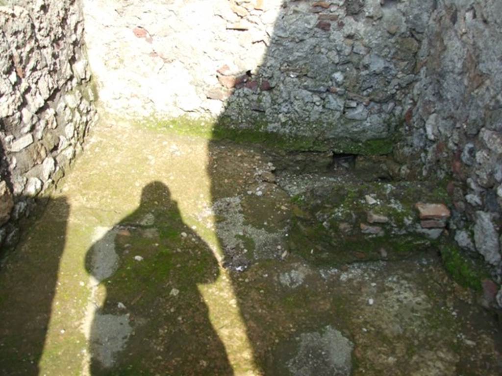 IX.3.5 Pompeii. March 2009. Room 23. Latrine in south east corner.