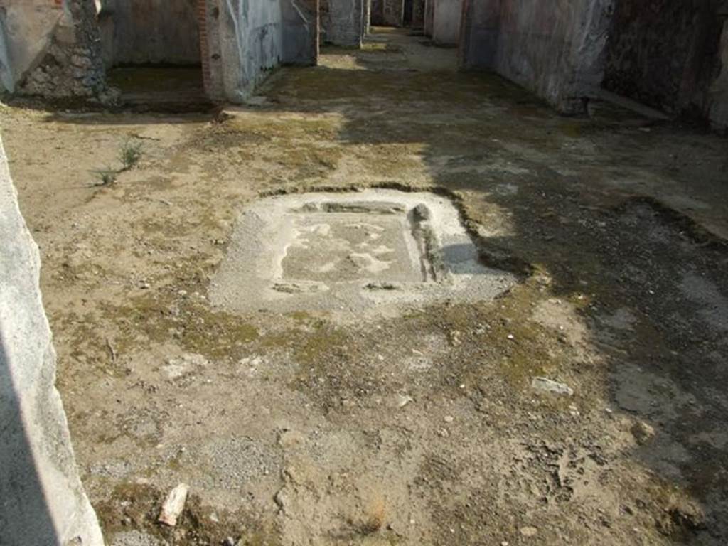 IX.3.5 Pompeii. March 2009. Room 30, impluvium in secondary atrium.