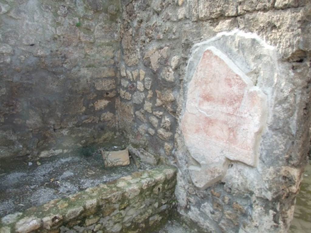 IX.3.5 Pompeii. March 2009. Room 30. Secondary atrium. North-west corner with remains of painted plaster.