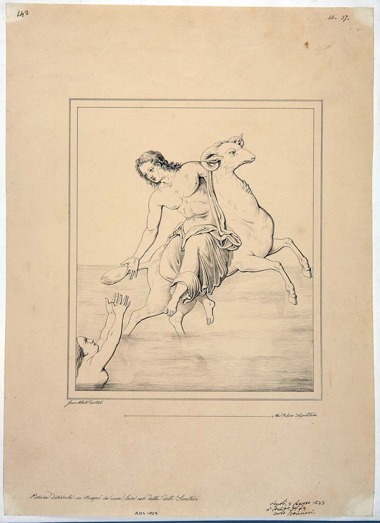 IX.3.5 Pompeii. Room 5, centre panel in west wall. Drawing by Giuseppe Abbate, 1848, of painting of Phryxus and Helle.
Now in Naples Archaeological Museum. Inventory number ADS 1029.
Photo © ICCD. http://www.catalogo.beniculturali.it
Utilizzabili alle condizioni della licenza Attribuzione - Non commerciale - Condividi allo stesso modo 2.5 Italia (CC BY-NC-SA 2.5 IT)