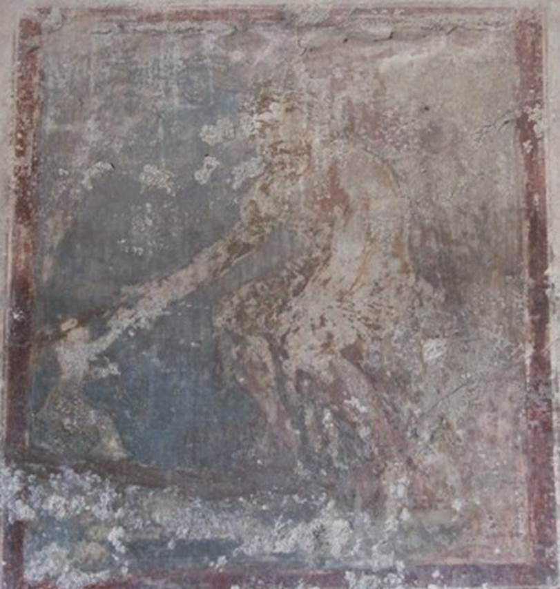 IX.3.5 Pompeii. March 2009. Room 5. East wall. Centre panel.
Wall painting of Phrixus?. See Helbig, W., 1868. Wandgemälde der vom Vesuv verschütteten Städte Campaniens. Leipzig: Breitkopf und Härtel. 1253. Wall painting of Polyphemus receiving Galatea’s letter?
See Engelmann, W., 1929. New Guide to Pompeii: Second Edition. Engelmann. (p.121).