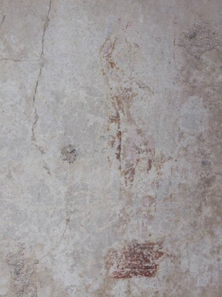 IX.3.5 Pompeii. March 2009. Room 5, painted figure from south end of east wall.