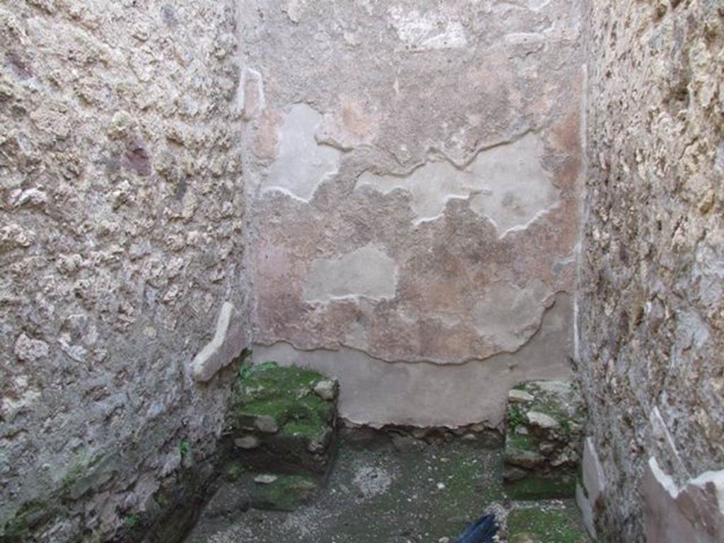 IX.3.5 Pompeii. March 2009. Room 8. Latrine. West wall.