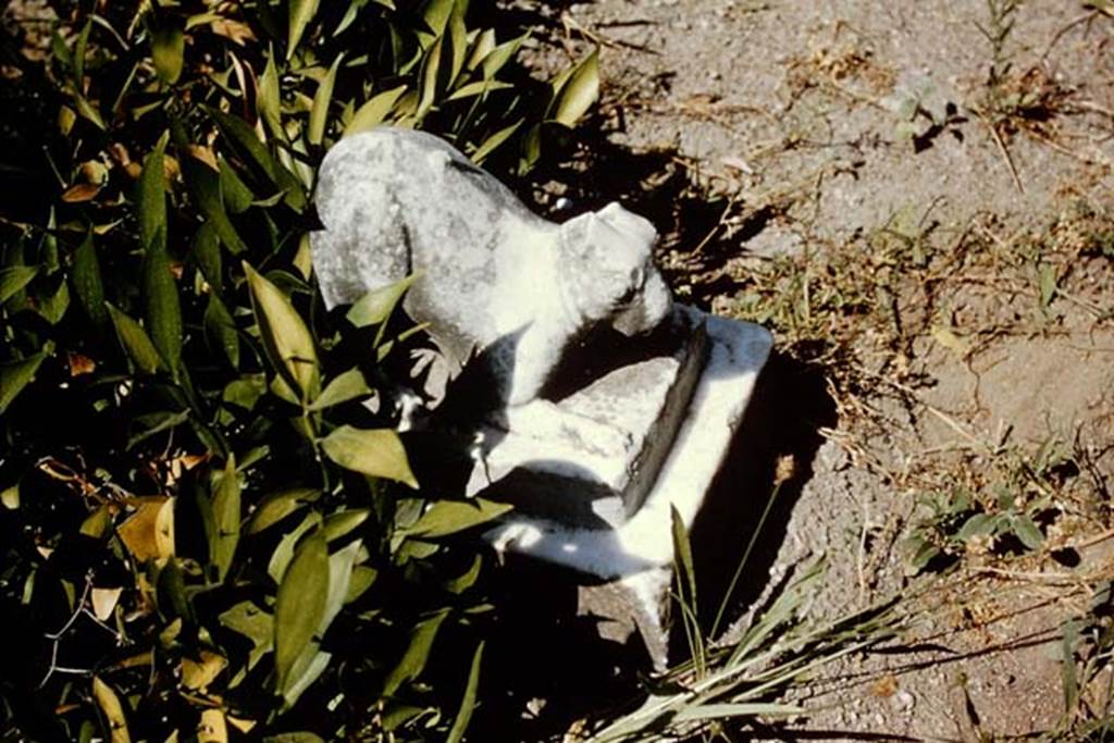 IX.3.5 Pompeii. 1966. Room 26, statuette of small animal from garden. Photo by Stanley A. Jashemski.
Source: The Wilhelmina and Stanley A. Jashemski archive in the University of Maryland Library, Special Collections (See collection page) and made available under the Creative Commons Attribution-Non Commercial License v.4. See Licence and use details.
J66f0286