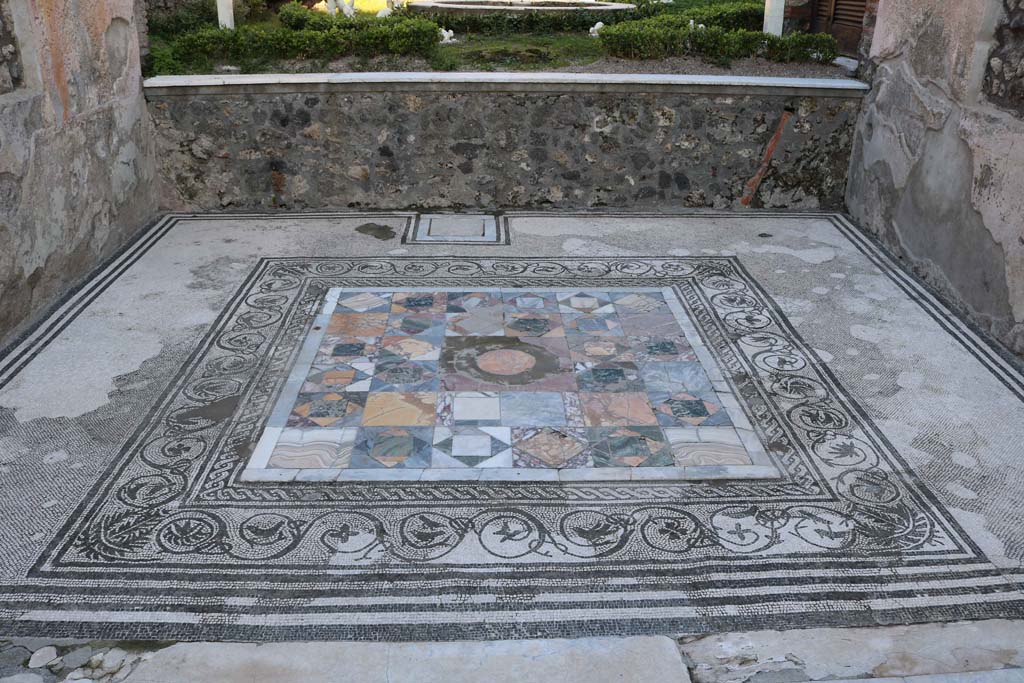 IX.3.5 Pompeii. December 2018. Room 12, mosaic floor in tablinum. Photo courtesy of Aude Durand.