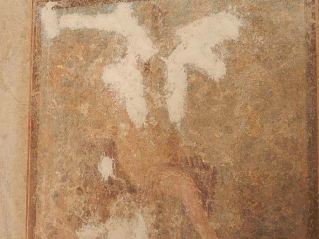 IX.3.5 Pompeii. May 2015. Room 15, detail of central wall painting of Cyparissus, from the south wall. Photo courtesy of Buzz Ferebee.