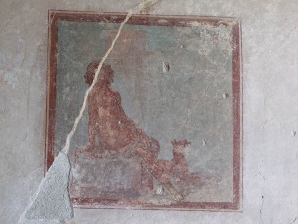 IX.3.5 Pompeii. March 2009. Room 16, wall painting of Endymion, from centre of west wall.
See Helbig, W., 1868. Wandgemälde der vom Vesuv verschütteten Städte Campaniens. Leipzig: Breitkopf und Härtel. (950).