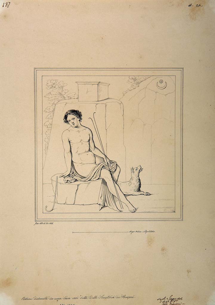 IX.3.5 Pompeii. Drawing by Giuseppe Abbate, 1848, of painting of Endymion from west wall of cubiculum.
Now in Naples Archaeological Museum. Inventory number ADS 1020.
Photo © ICCD. http://www.catalogo.beniculturali.it
Utilizzabili alle condizioni della licenza Attribuzione - Non commerciale - Condividi allo stesso modo 2.5 Italia (CC BY-NC-SA 2.5 IT)