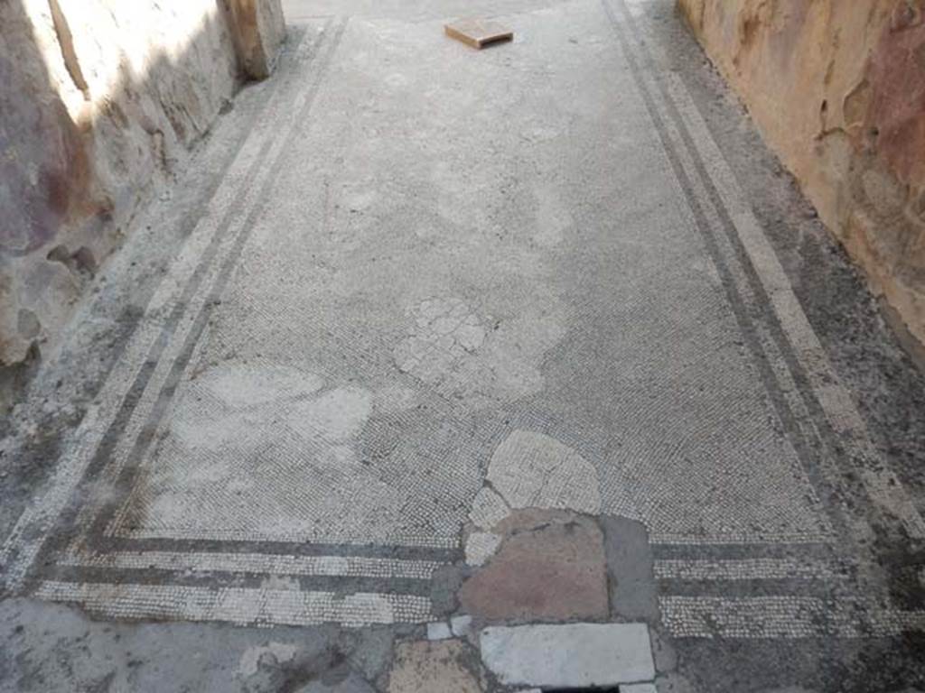 IX.3.5 Pompeii. May 2015. Detail of mosaic floor in entrance corridor.
Photo courtesy of Buzz Ferebee.
