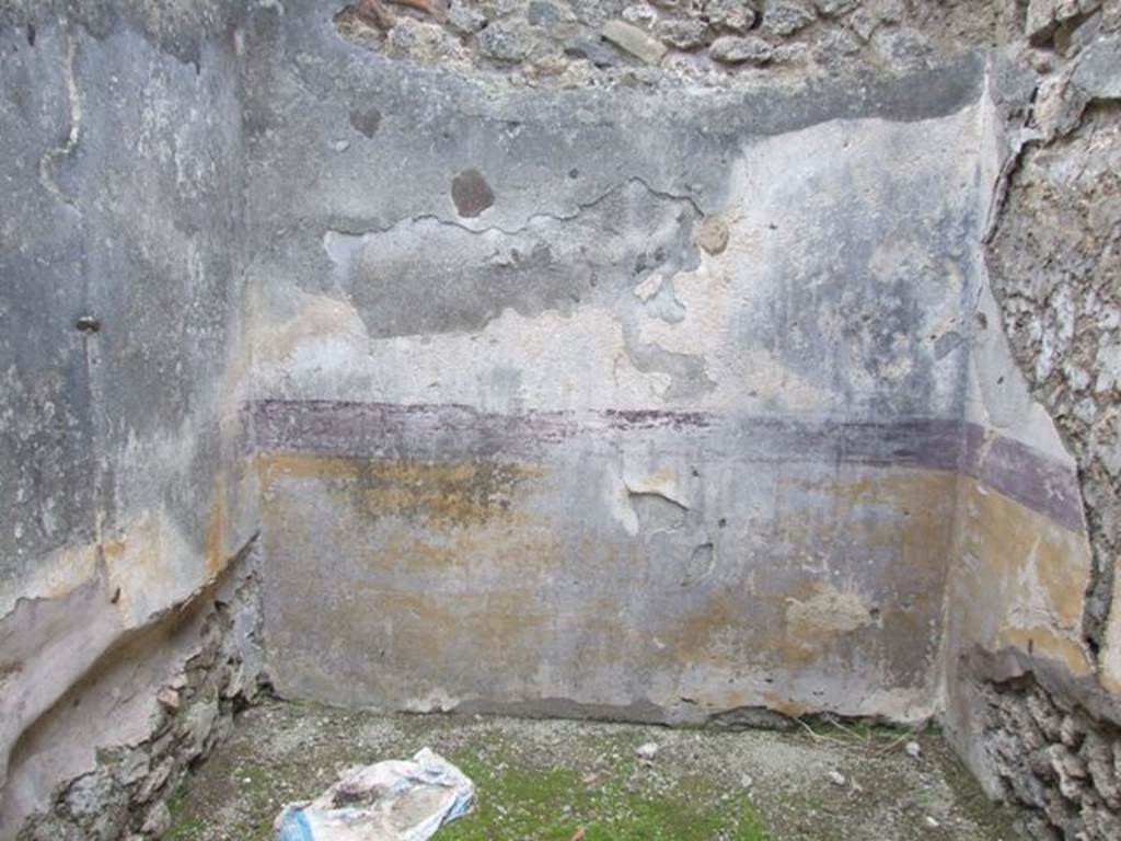 IX.3.15 Pompeii. March 2009. Room 5. West wall, and recess on south wall.