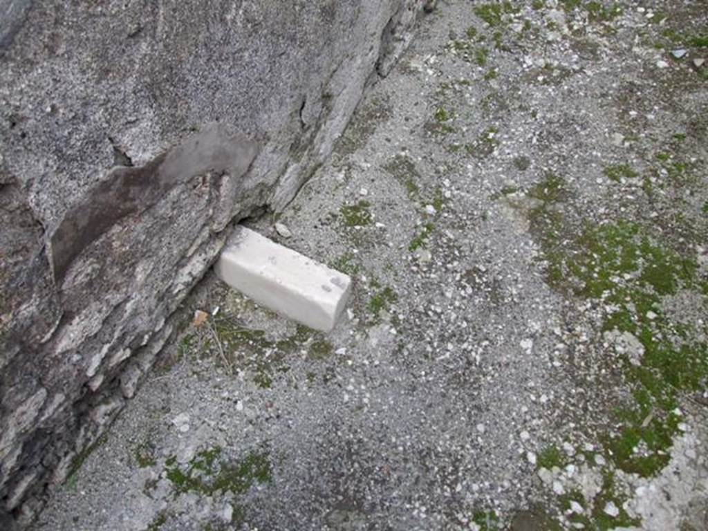 IX.3.15 Pompeii. March 2009. Room 1. White marble in corridor floor