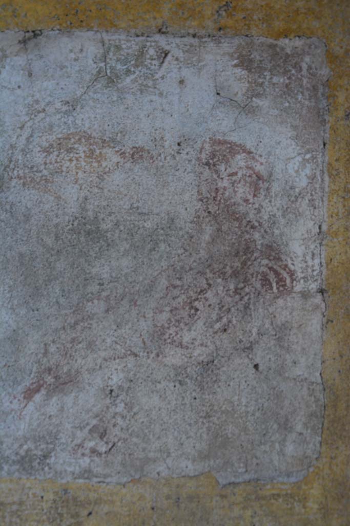 IX.5.11 Pompeii. March 2017.
Room f, detail from west (right side) of central painting of Ganymede and the eagle from south wall.
Foto Christian Beck, ERC Grant 681269 DÉCOR.