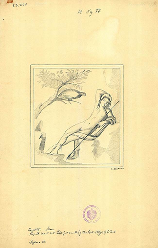 IX.5.11 Pompeii. Copy by Discanno of painting of Ganymede from south wall of cubiculum room 7.
DAIR 83.255. Photo © Deutsches Archäologisches Institut, Abteilung Rom, Arkiv.
According to Fiorelli, this painting (0.37 x 0.39) represented sleeping Ganymede (on the left?), sleeping lying on a rock, holding a hunting spear in his left hand and placing his right hand on top of his head, adorned with a nimbus. He was all naked except for a purple cloak and green shoes.
To his right (our left) we see the eagle, it was in the attitude of flying from the branch towards the sleeping hunter.
See Notizie degli Scavi di Antichitŕ, 1877, (p.249)
According to Mau, found on the left wall (0.40 high x 0.37 wide) was Ganymede (with brown complexion) sleeping sitting on a rock, with feet crossed to the left wearing green boots: his right arm resting on his head, with his face looking frontwards, and covered by a beret; holding in his left hand (his arm was wrapped in his cloak which also lay across his left thigh) was a spear. On a tree on the left was the Eagle of ugly form and poor dimensions, turned towards the young man.
See Bullettino dell’Instituto di Corrispondenza Archeologica (DAIR), 1879, (p.203, no: 63).
