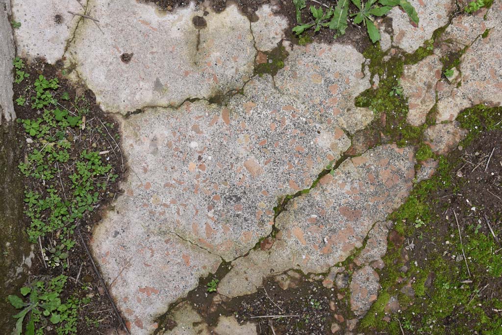 IX.5.18 Pompeii. March 2018. Room “s”, detail of flooring from north-east corner.
Foto Annette Haug, ERC Grant 681269 DÉCOR.