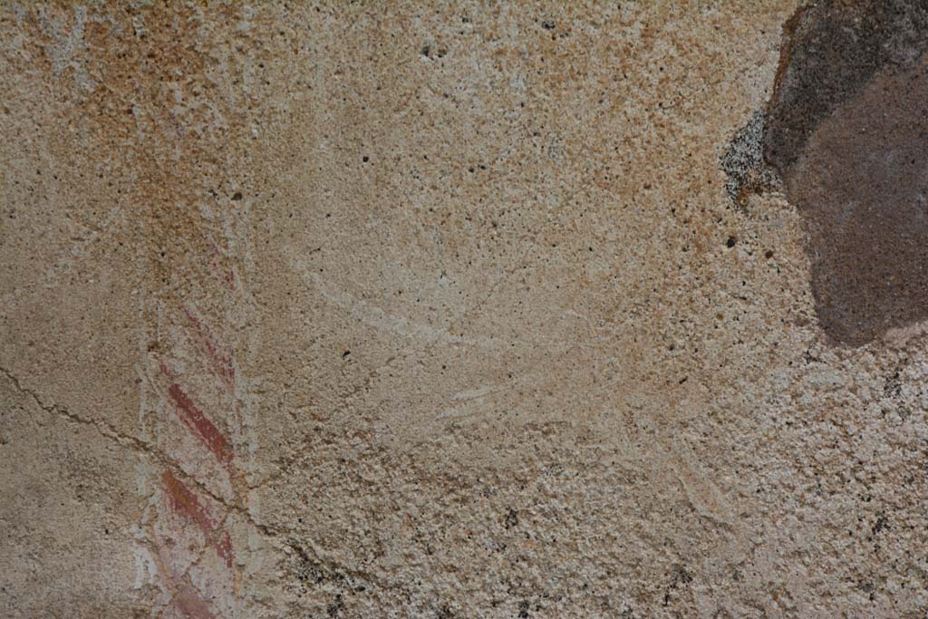IX.5.18 Pompeii. March 2017. Room p, north wall with detail of painted candelabra, with remains of a painted bird on east side.
Foto Christian Beck, ERC Grant 681269 DÉCOR.