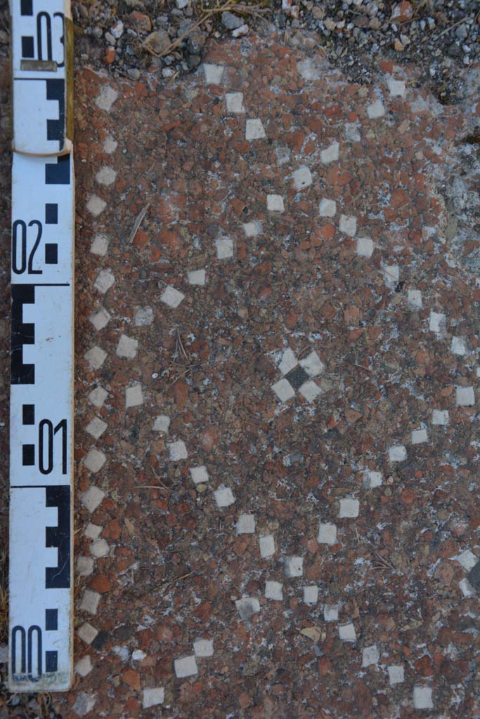 IX.5.18 Pompeii. May 2017. Room p, detail of decorative flooring.
Foto Christian Beck, ERC Grant 681269 DÉCOR.