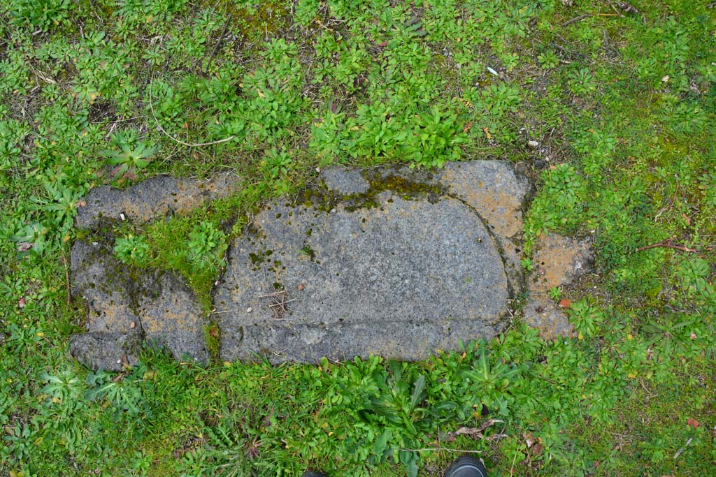 IX.5.18 Pompeii. March 2018. Room “l” (L), detail from west side, looking west.
Foto Annette Haug, ERC Grant 681269 DÉCOR.