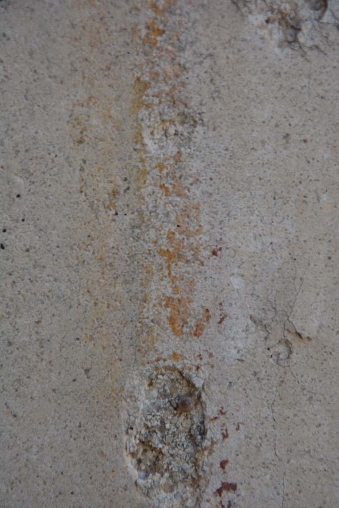 IX.5.18 Pompeii. May 2017.
Room l (L), detail of painted decoration on panel on north wall at west end.
Foto Christian Beck, ERC Grant 681269 DÉCOR.