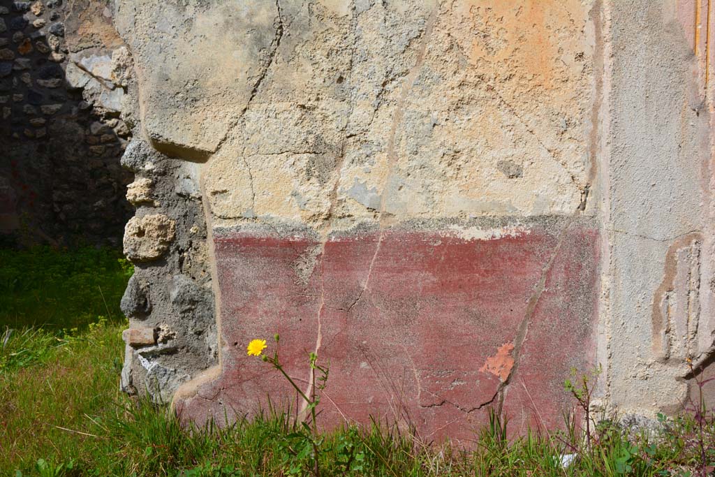 IX.5.18 Pompeii. March 2017. Room l (L), north wall in north-east corner, detail of zoccolo.
Foto Christian Beck, ERC Grant 681269 DÉCOR.