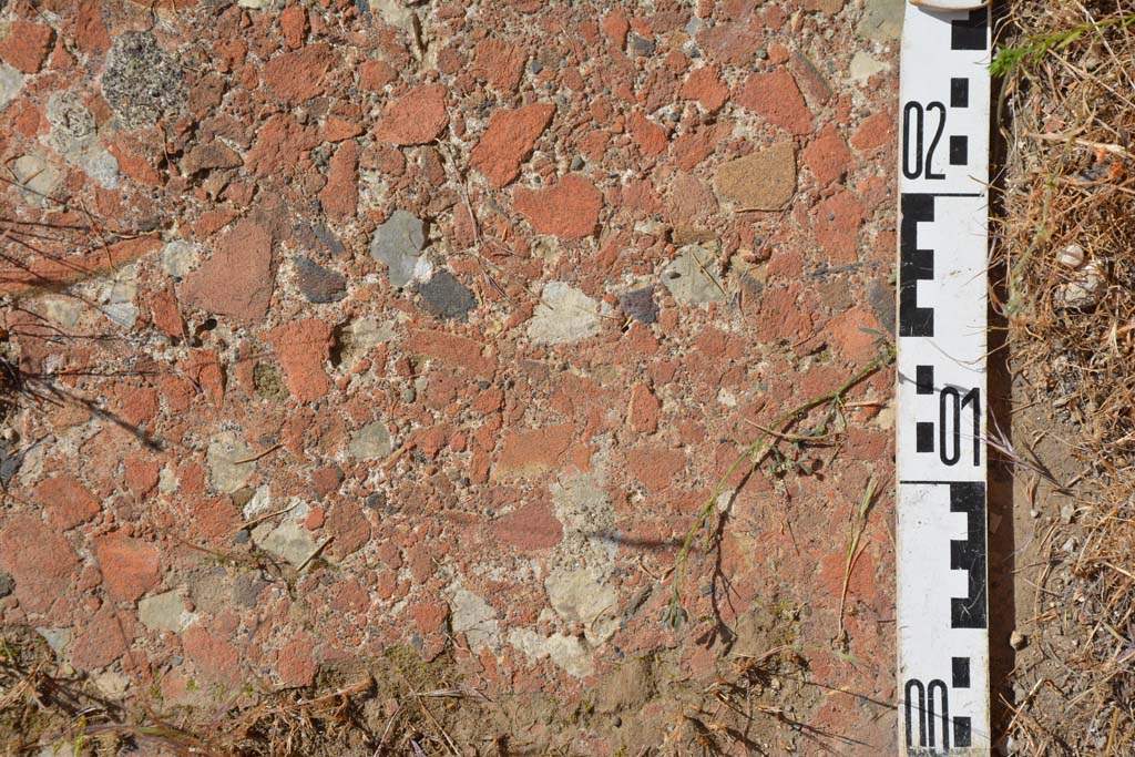 IX.5.18 Pompeii. May 2017. Room n, detail of flooring.
Foto Christian Beck, ERC Grant 681269 DÉCOR.