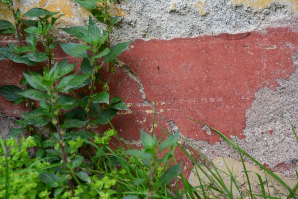 IX.5.18 Pompeii. March 2017. Room o, detail from zoccolo in centre of north wall.
Foto Christian Beck, ERC Grant 681269 DÉCOR.