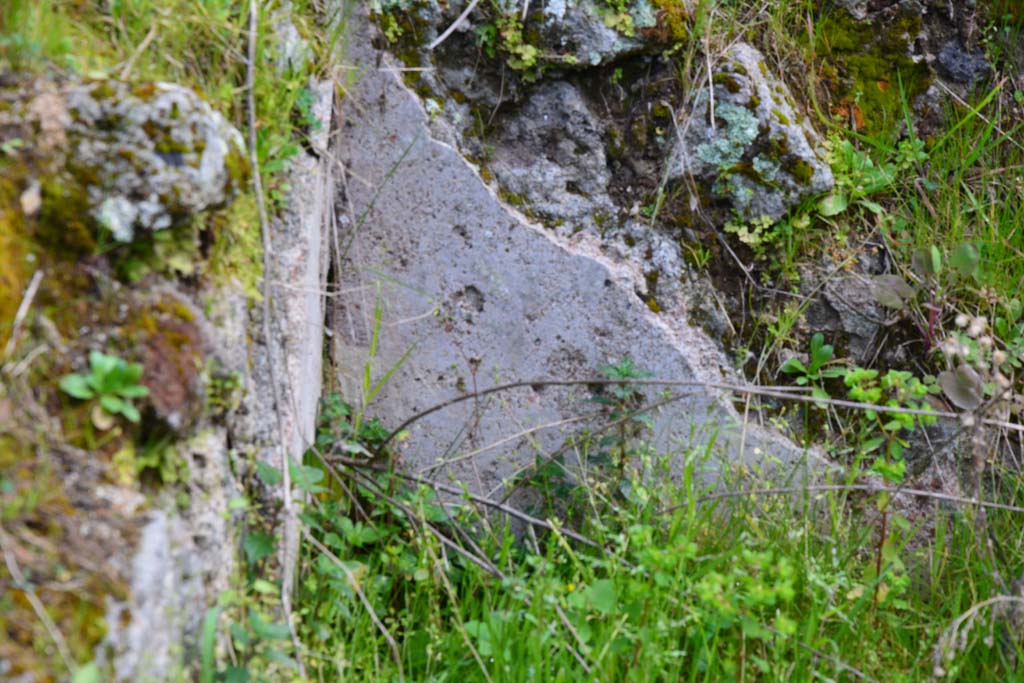 IX.5.18 Pompeii. March 2017. Room b, detail of east wall in pool.
Foto Christian Beck, ERC Grant 681269 DÉCOR.
