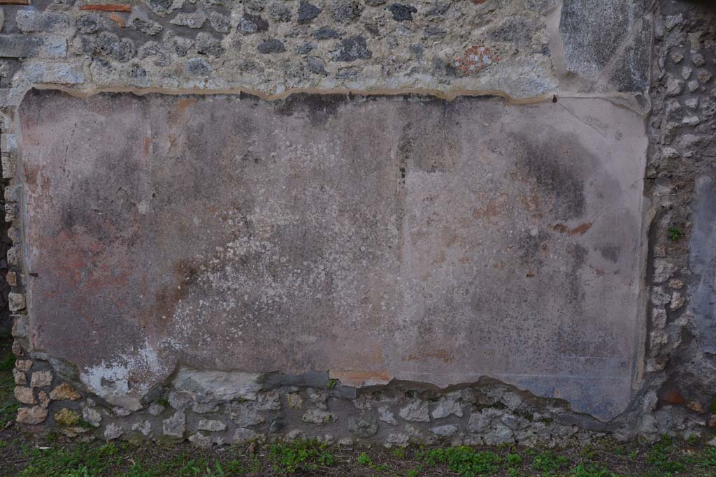 IX.5.18 Pompeii. March 2018. Detail from south wall in south-west corner of atrium/courtyard garden.
Foto Annette Haug, ERC Grant 681269 DÉCOR.