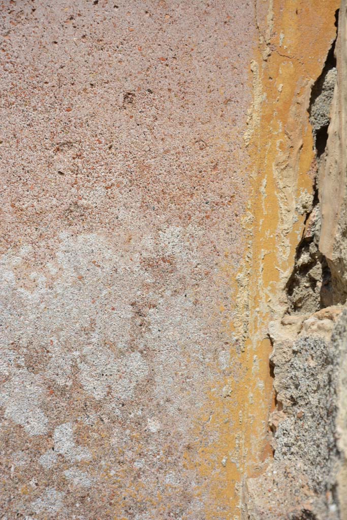 IX.5.18 Pompeii. May 2017. Room b, detail of east wall of atrium/garden in south-east corner.
Foto Christian Beck, ERC Grant 681269 DÉCOR.