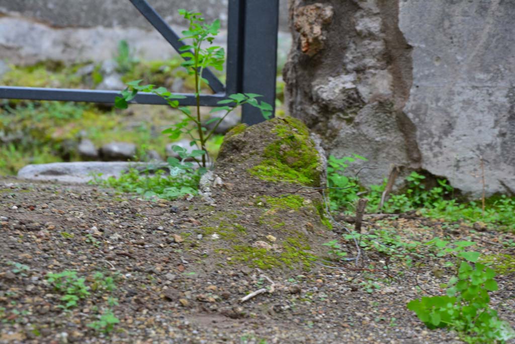 IX.5.18 Pompeii. March 2017. Room c, looking south to remains of wall on west side of entrance doorway at IX.5.19.
Foto Christian Beck, ERC Grant 681269 DÉCOR.
