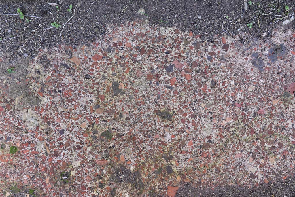 IX.5.18 Pompeii. March 2018. Room “e”, detail of flooring.
Foto Annette Haug, ERC Grant 681269 DÉCOR