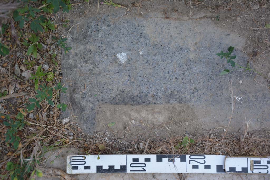 IX.5.18 Pompeii. May 2017. Room f, sides of doorway threshold, detail from north end.
Foto Christian Beck, ERC Grant 681269 DÉCOR.