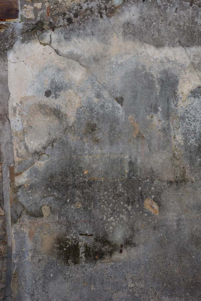 IX.5.18 Pompeii. March 2017. Room f, detail from south wall at east end.
Foto Christian Beck, ERC Grant 681269 DÉCOR.