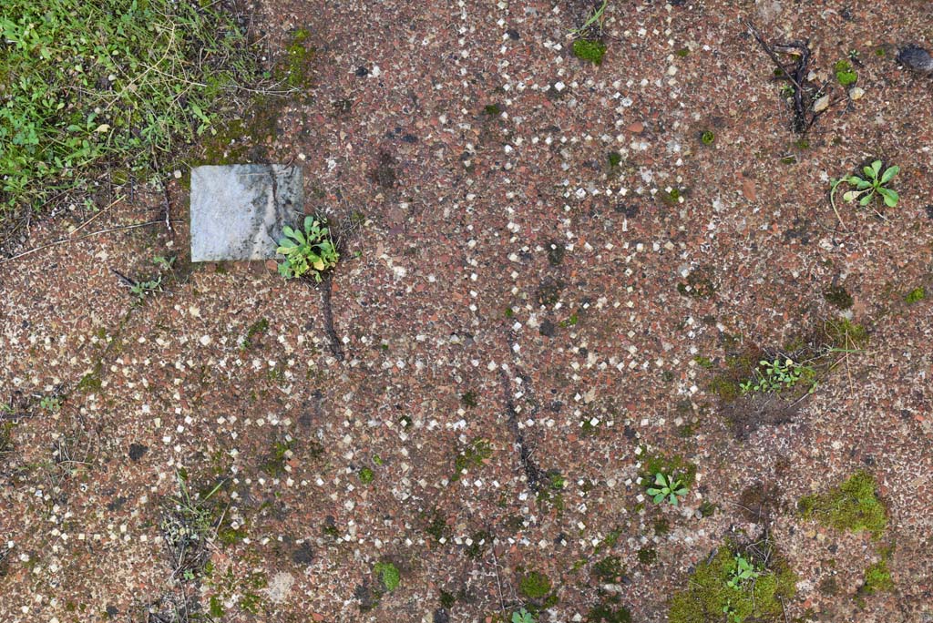 IX.5.18 Pompeii. March 2018. Triclinium “f”, detail of flooring.
Foto Annette Haug, ERC Grant 681269 DÉCOR.
