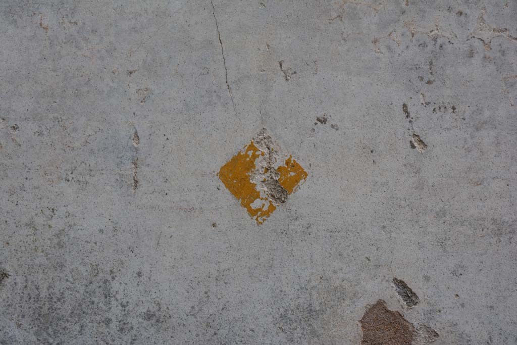 IX.5.18 Pompeii. March 2017. Room f, north wall detail from zoccolo.
Foto Christian Beck, ERC Grant 681269 DÉCOR.